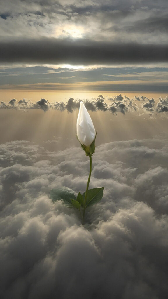 Sky high